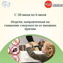 «Неделя, направленная на снижение смертности от внешних причин»